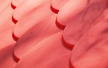 Catfirth plastic roof costs